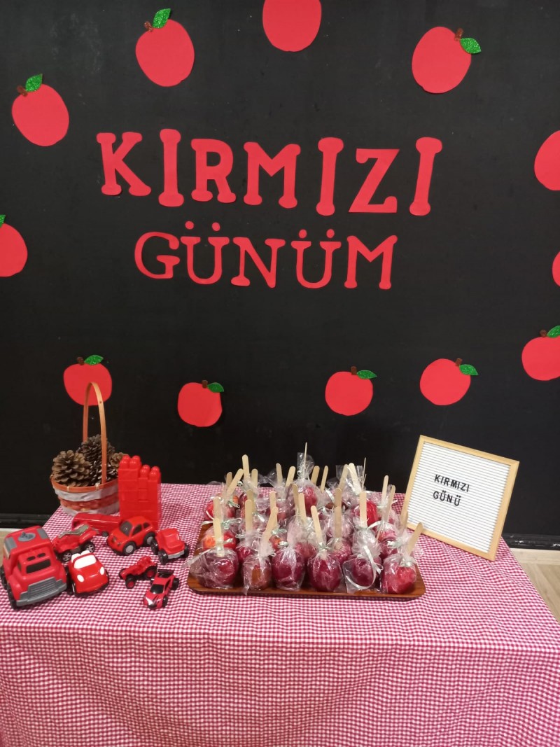 ANASINIFINDA KIRMIZI RENK GÜNÜ